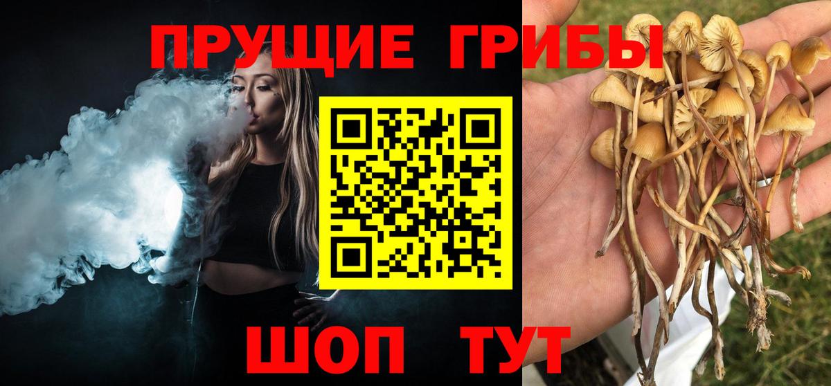 Заводоуковск  Псилоцибиновые грибы ЛСД  Вход с VPN 